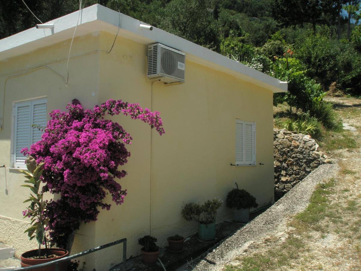 Faliraki Apartments Benitses  Extérieur photo